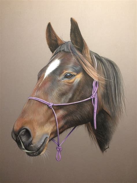 Cheval Au Pastel Horse Painting Horse Artwork Horse Drawings