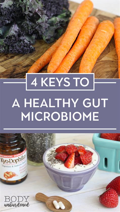 The 4 Keys To A Healthy Gut Microbiome Gut Microbiome Healthy Gut