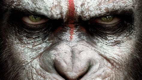 Movie Dawn Of The Planet Of The Apes Hd Wallpaper