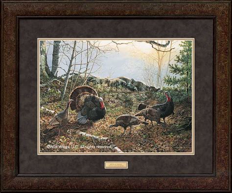 rites of spring—turkeys gna premium framed print by persis clayton weirs wildlife art art