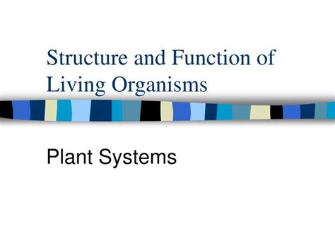 Ppt Structure And Function Of Living Organisms Powerpoint