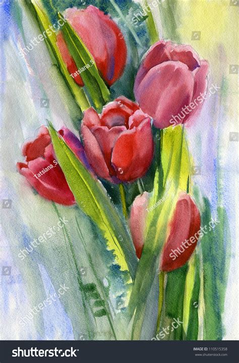 Red Tulips Watercolor Stock Photo 110515358 Shutterstock
