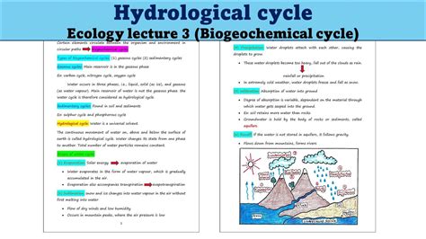 Hydrological Cycle Water Cycle Biogeochemical Cycle Ecology