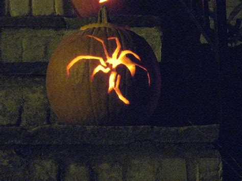 Halloween Pumpkins 2008 Spidere Warmouse Flickr