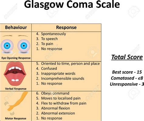 The 25 Best Glasgow Coma Scale Ideas On Pinterest Glascow Coma Scale