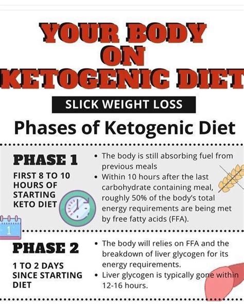 Keto Movement On Instagram “👈swipe The 5 Phases Of Keto What To Expect As Your Body And Brain