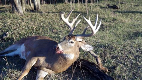 HLRBO - Cass,Nebraska Hunting Lease $2,675.00 Per Year