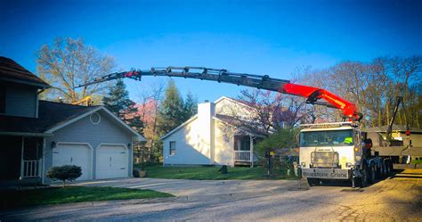 Safe & Efficient Tree Removal Service | Bluestone Tree