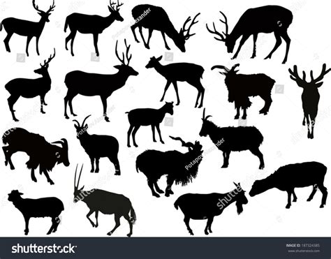 Illustration Set Deers Goats Silhouettes Isolated Stock Vector Royalty