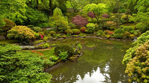 Portland Japanese Garden Portland Oregon Attraction Au