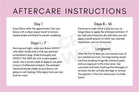 Modern Microblading Aftercare Instructions Template Etsy