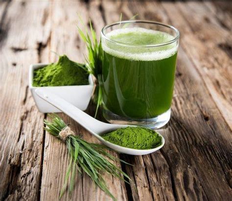 As the health food industry began seeing the importance of this grass, many companies began using alfalfa in their green drink powders. Global Alfalfa Grass Powder Market Research Report 2021 ...