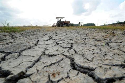 Mada Beri Jaminan Fenomena El Nino Tak Jejas Tanaman Padi