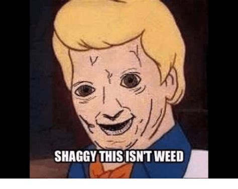 Shaggy Thisisntweed Shaggy Meme On Meme
