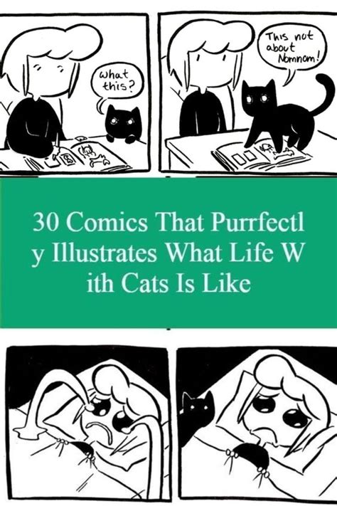 30 Comics That Purrfectly Illustrates What Life With Cats Is Like Artofit