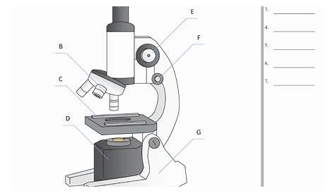 50 Microscope Parts And Use Worksheet