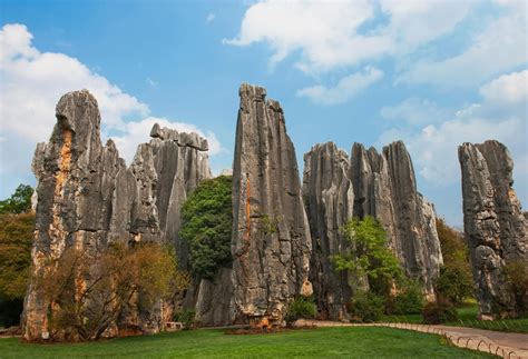 Stone Forest And Libo The South China Karstавтор Shan Ren Скульптура