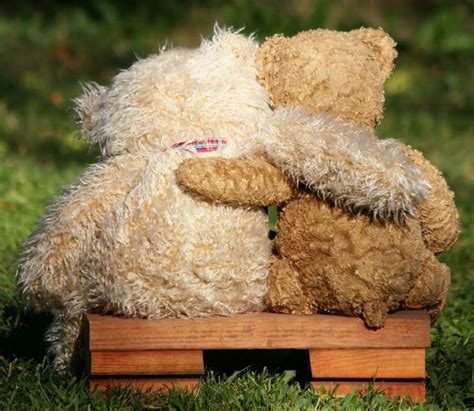 Teddy Bear Friendship Day 800bear Plush Thoughts