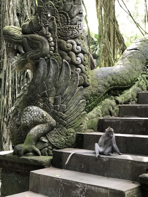 Exploring Bali Indonesia The Sacred Monkey Forest Sanctuary In Ubud
