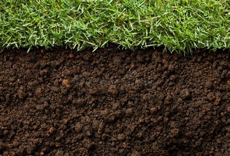 Grass And Dirt Stock Image Image Of View Closeup Turf 36930155