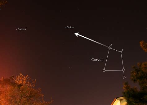 Corvus The Crow And Spicas Spanker Stellar Neophyte Astronomy Blog