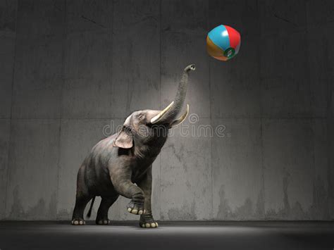 3d Elephant Plays With A Beach Ball Stock Illustration