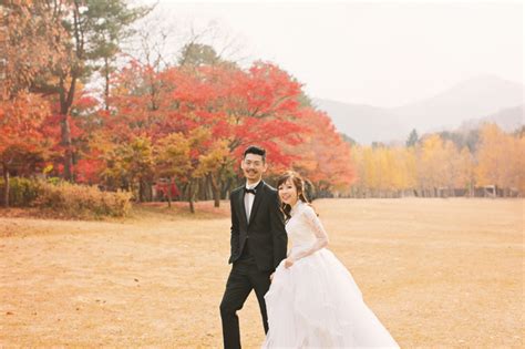 Nami island this tour package includes your nami island ticket! Nami Island Korea Pre-Wedding Photoshoot| OneThreeOneFour
