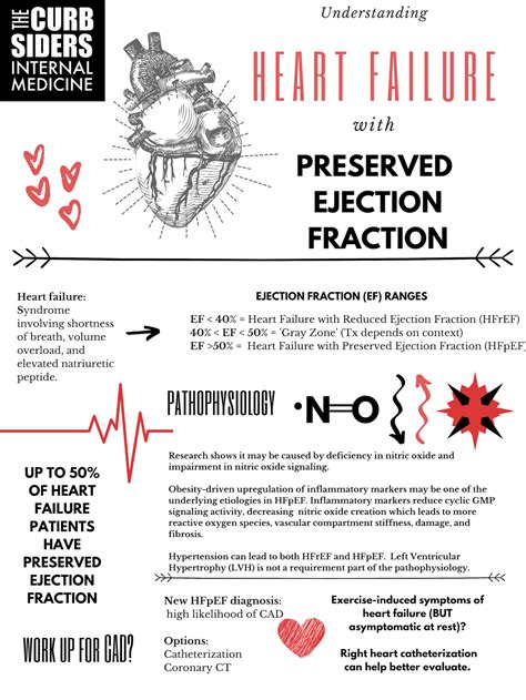Infographic Pg 1 The Curbsiders 150 Hfpef With Dr Clyde Yancy Md Visual Summary 1 The Curbsiders