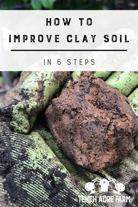 How To Improve Clay Soil In 6 Steps Clay Soil Clay Soil Plants