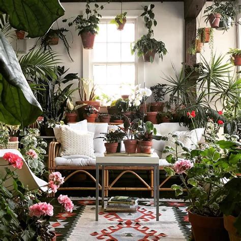 Green Plant Room Ideas