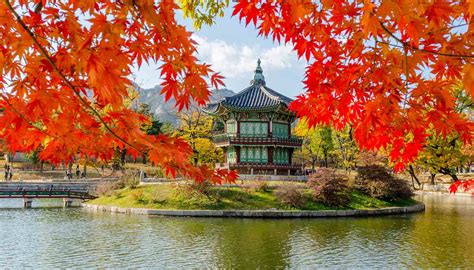 South Korea Travel Guide And Travel Information World Travel Guide