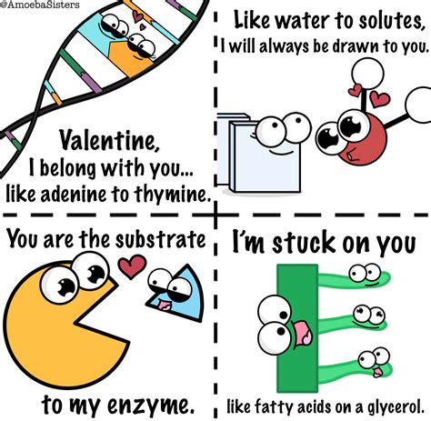 the amoeba sisters — we made some science themed valentine s day cards
