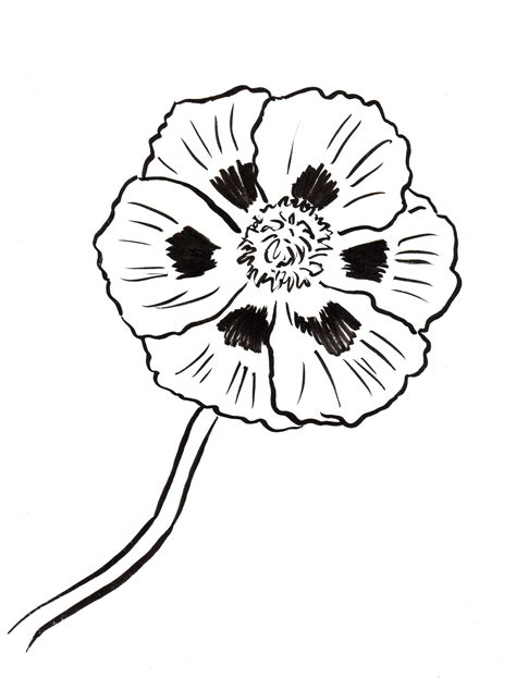 Poppy Coloring Pages Printable Printable Word Searches
