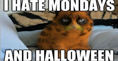 Celebrate October 31st With Some Of Our Favorite Halloween Pet Memes