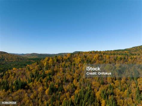Aerial View Of Multi Colored Boreal Forest And Laurentian Mountain