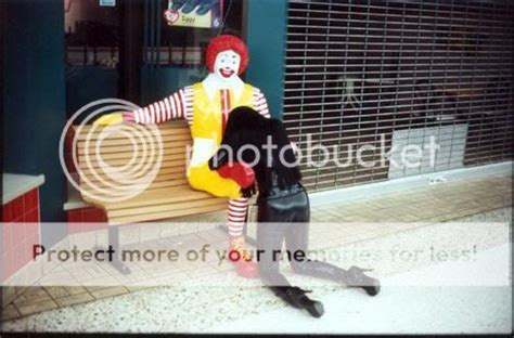 You Guys Mad Ronald Mcdonald Is Getting More Pussy Than You Pics