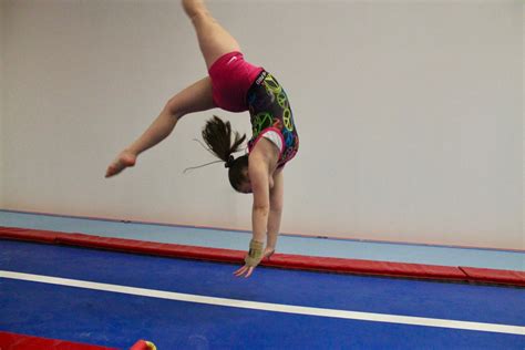 Pre Competitive And Competitive Program Rideau Gymnastics