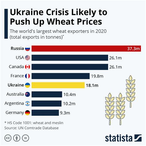 How Wheat Shortage Is Sparking A Global Food Crisis Earthorg