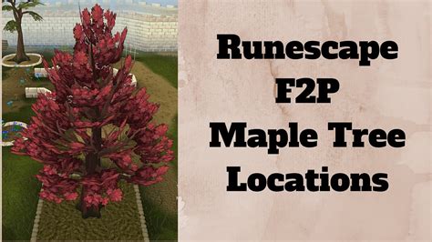 There's another one in the bear lockup in. Runescape F2P Maple Tree Location - YouTube