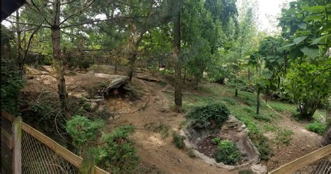 Aug 2018 Wolf Woods 13000 Sq Ft Mexican Wolf Exhibit Zoochat