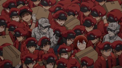 Cells At Work 2018
