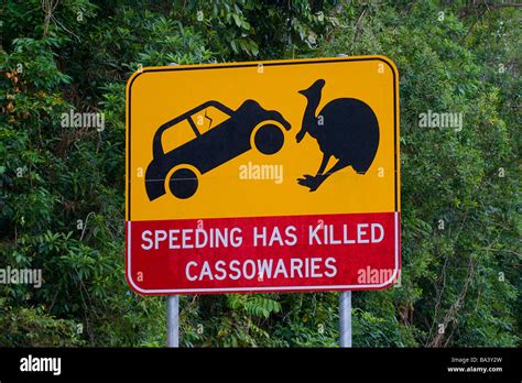 Cassowary Sign Hi Res Stock Photography And Images Alamy