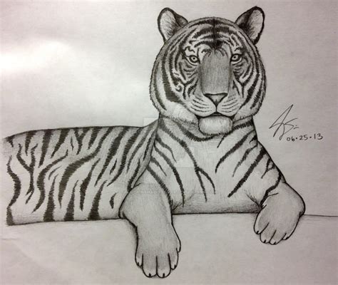 Как легко нарисовать амурского тигра 20 фото