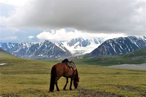 True Mongolia Travel Horse Riding To Kagiin Khar Lake Horse Riding To