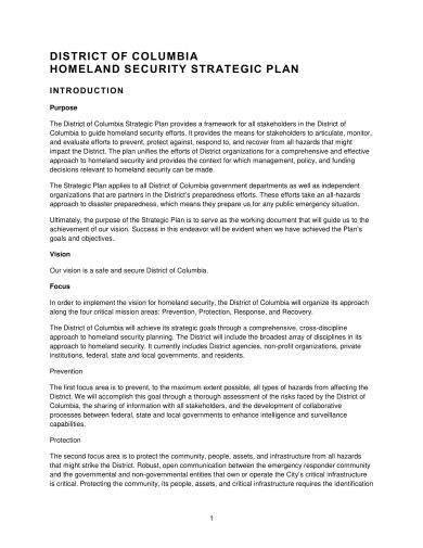 Security Strategic Plan 10 Examples Format Pdf Examples