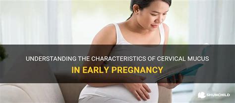 Understanding The Characteristics Of Cervical Mucus In Early Pregnancy