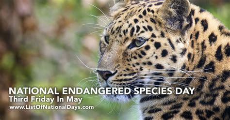 National Endangered Species Day List Of National Days