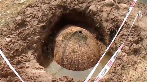 Fishermen Stumble Upon A 10000 Year Old Giant Shell In Argentina