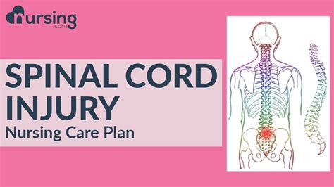 4 Spinal Cord Injury Nursing Care Plan