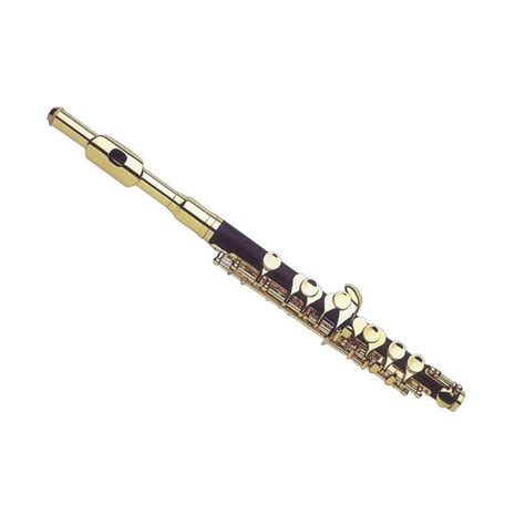 433 piccolo instrument premium high res photos. Bakelite tube gold flute Piccolo C Flute musical ...